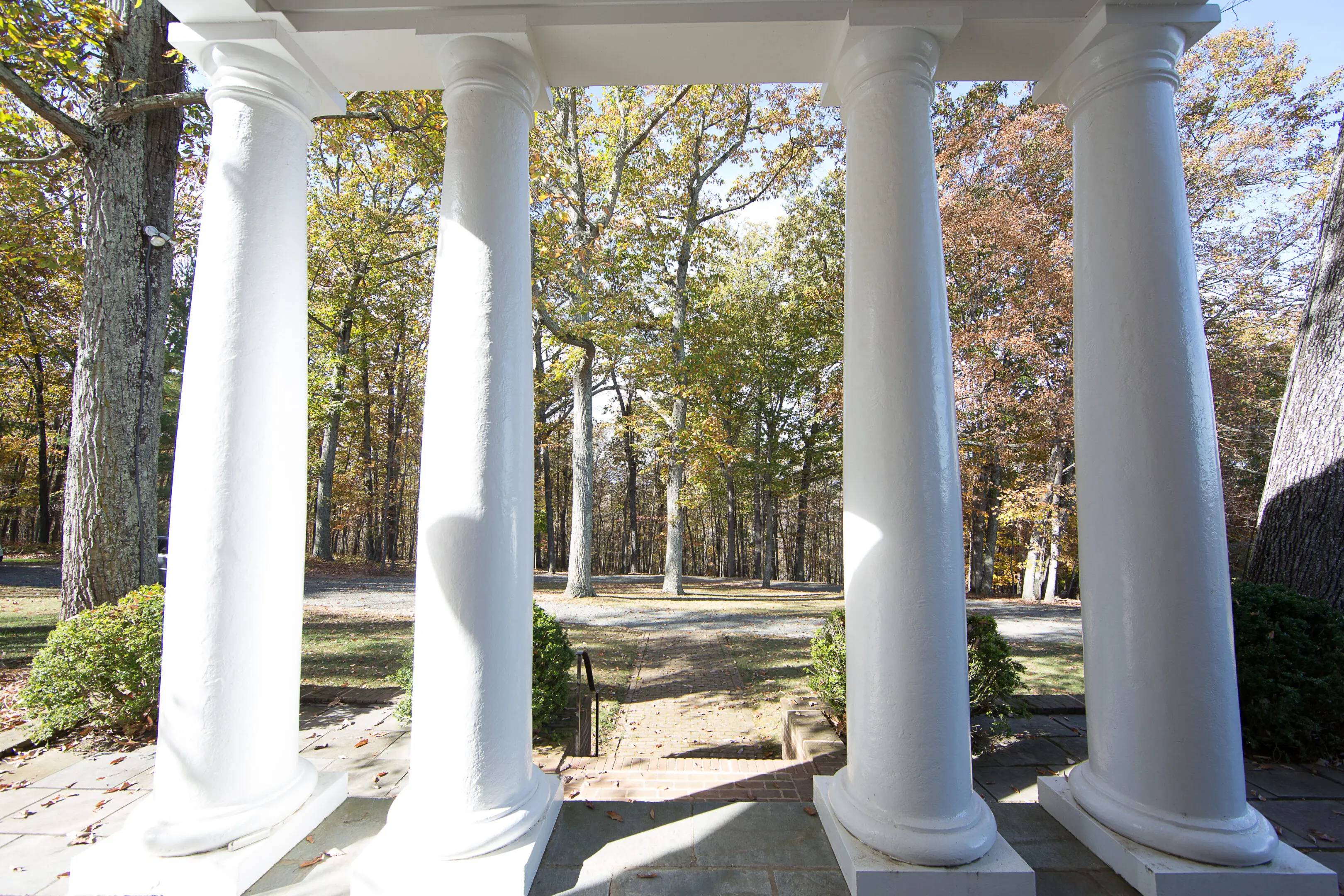 A view of trees through the pillars of an outdoor room.