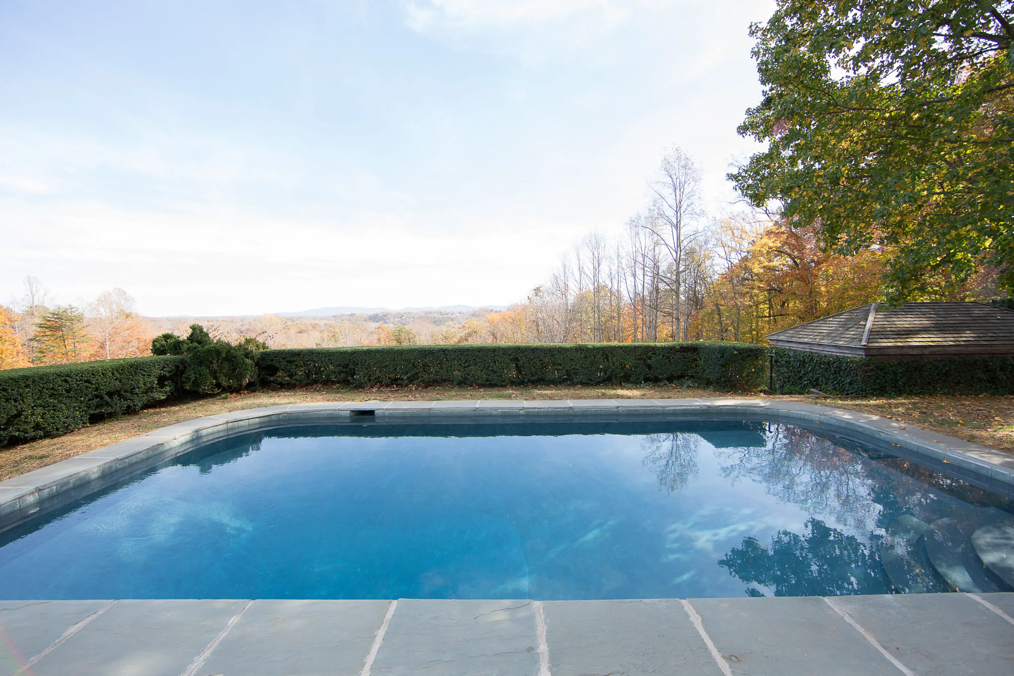 A pool with trees and bushes in the background